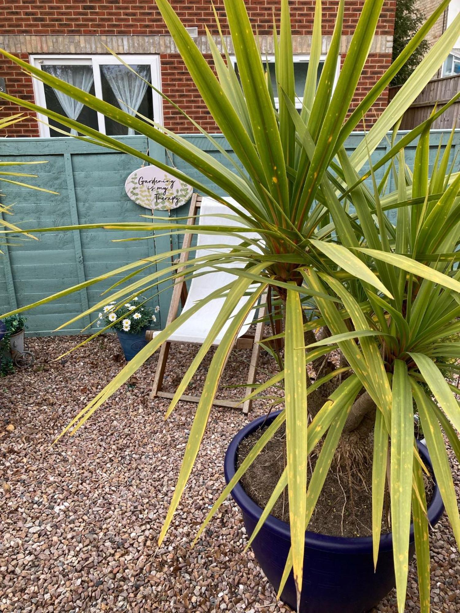 The Sashes - Stylish Apartment - Free Parking - Ultrafast Wifi - Smart Tv - Netflix - Sleeps Up To 6! Close To Poole Town Center & Sandbanks & Bournemouth Exterior photo